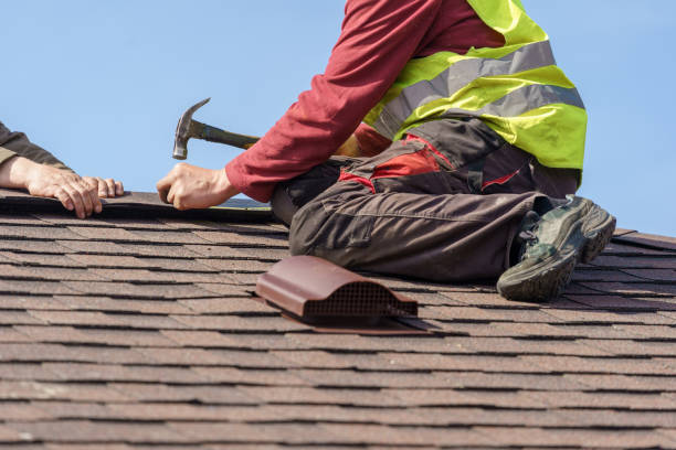 Best Flat Roof Repair Services  in Buchanan, VA