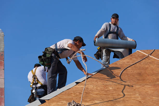 Best Local Roofing Companies  in Buchanan, VA