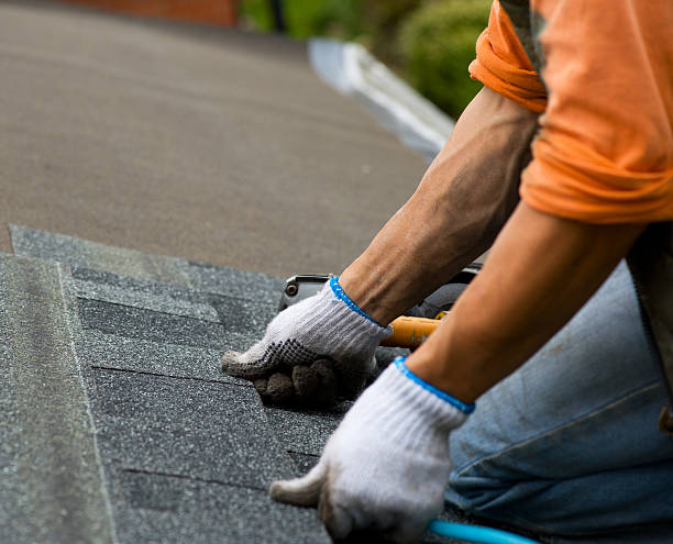 Best Gutter Installation and Roofing  in Buchanan, VA